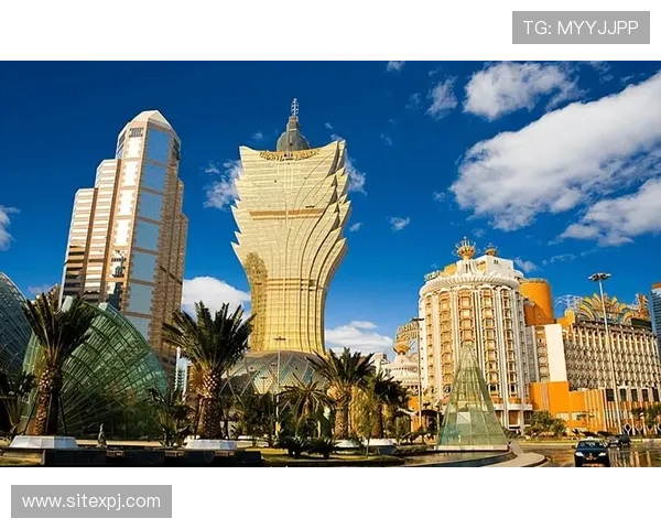 新葡的京：澳门博彩业在全球经济环境变化中的应对策略与发展前景