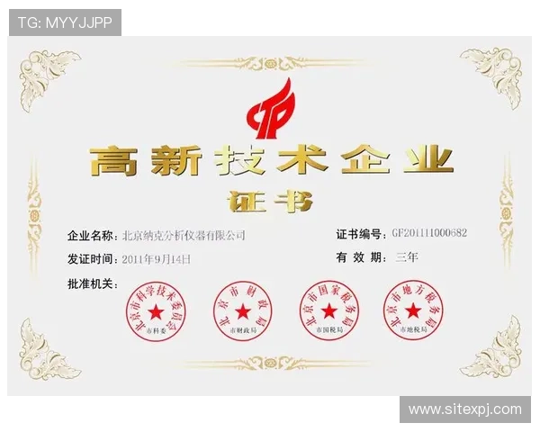 澳门新京平台官网未来发展规划，平台未来升级与创新方向的全面展望