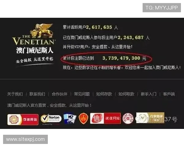 新葡京娱乐app网址官方入口更新公告，确保用户安全畅享娱乐体验