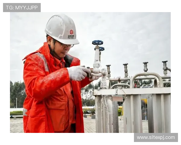 太阳城娱乐安全保障措施详解，保障每一位玩家的资金与信息安全