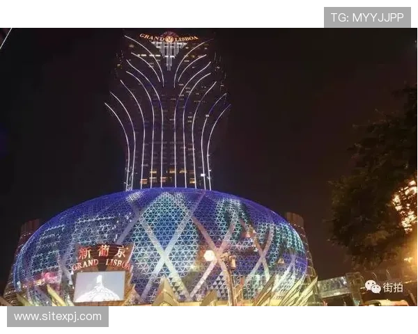 新葡京手机官方地址官方入口正式上线，提供稳定安全的登录体验