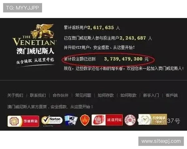 新葡京网址官方网站提供多平台支持实现随时随地畅玩娱乐体验