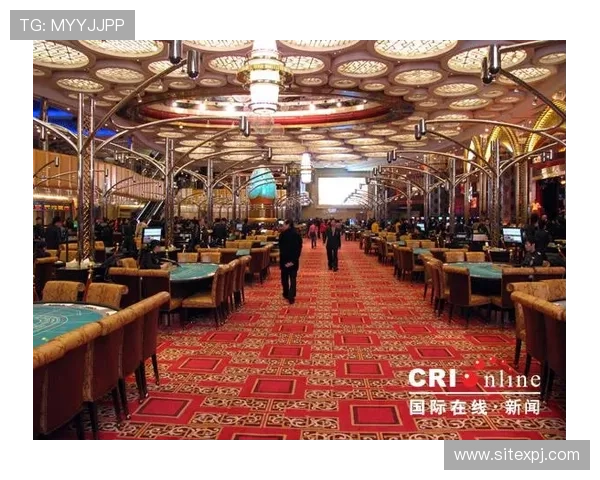 澳门娱乐场2008年度最全面的博彩回顾与分析报告