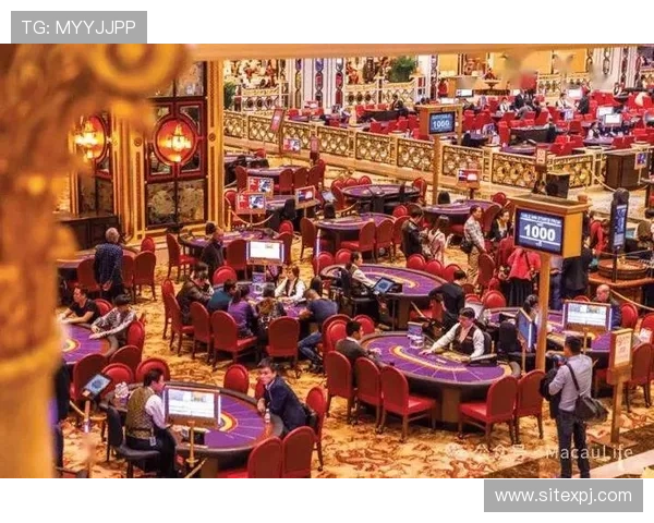 澳门新普京娱乐城网站用户评价与口碑分析帮助新玩家选择可信平台