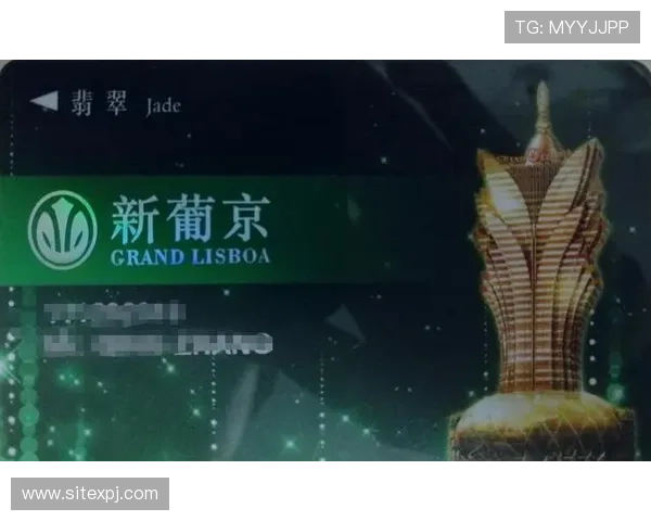 澳门新葡京官网提供便捷的存取款方式，确保您的资金安全快速到账，享受无忧游戏体验