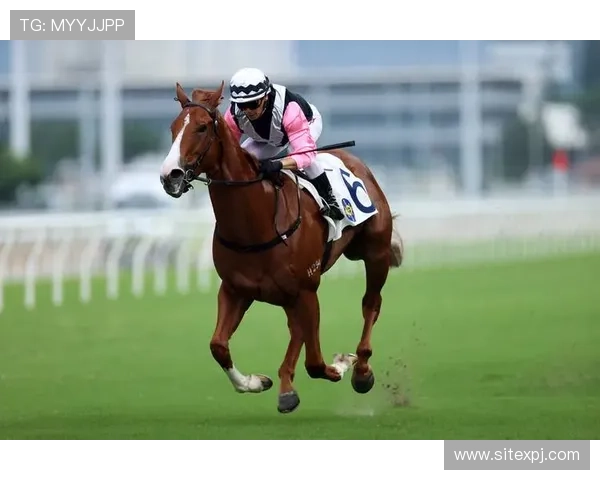 hkjc app正规官网：官方认证的香港赛马会APP下载安装流程与常见问题解答