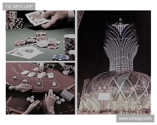 新葡京筹码使用技巧分享提升你的游戏胜率与盈利能力