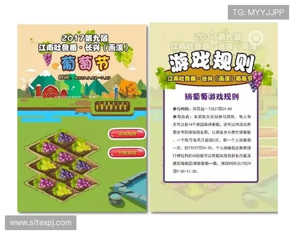 新葡萄娱乐城线上开户流程详解助你轻松开启高收益游戏体验